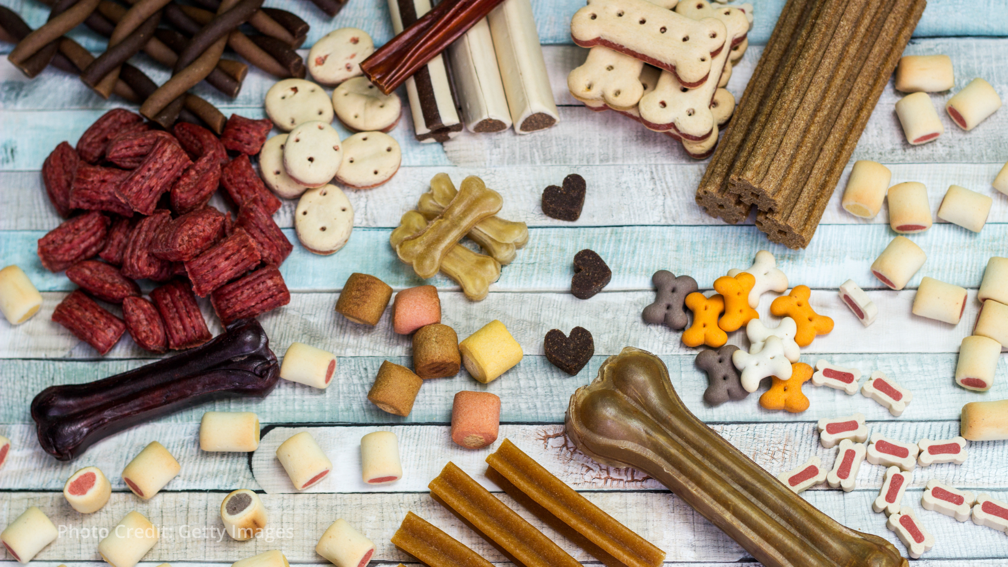 EBRD backs Turkish pet food company's expansion plans