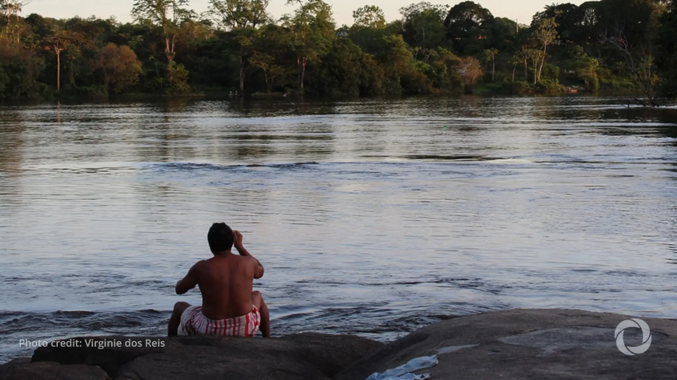Amazon Indigenous forests protect against 27 diseases, study finds