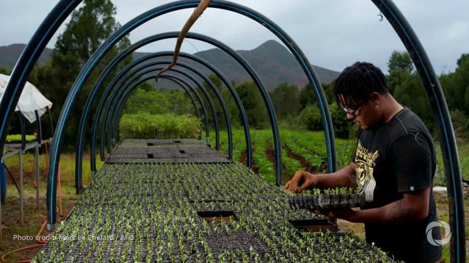 Pacific conservation program launches 15 new projects