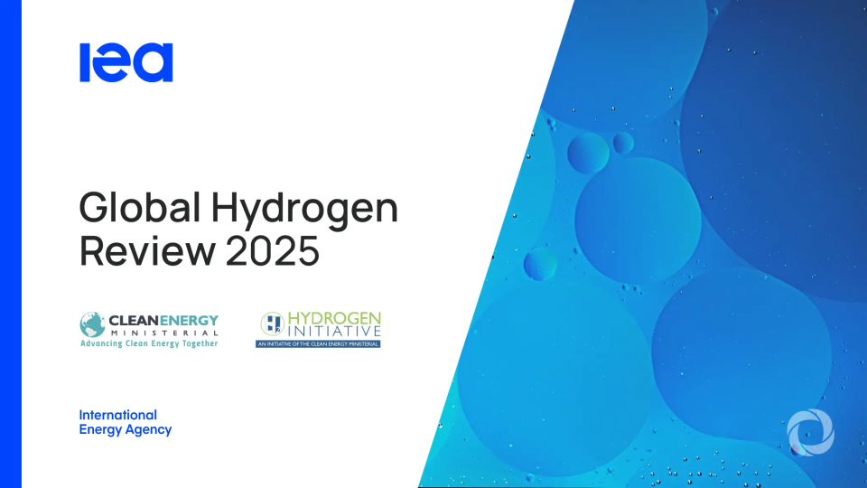 Clean hydrogen growth slows but expansion continues