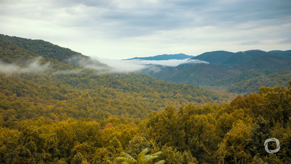 IDB backs Honduras forest conservation with $25 million loan