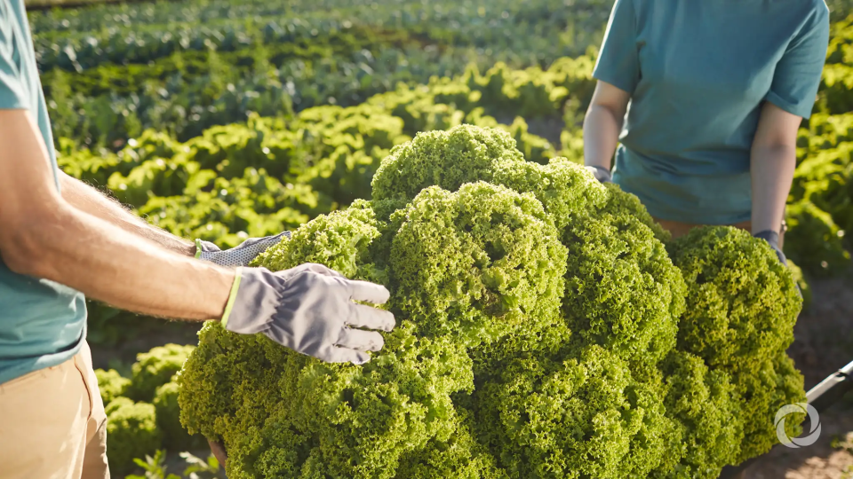 IFAD pushes G20 for $10 billion family farming investment