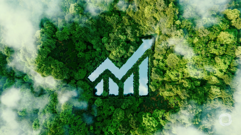 North Macedonia businesses lack green economy awareness, study finds