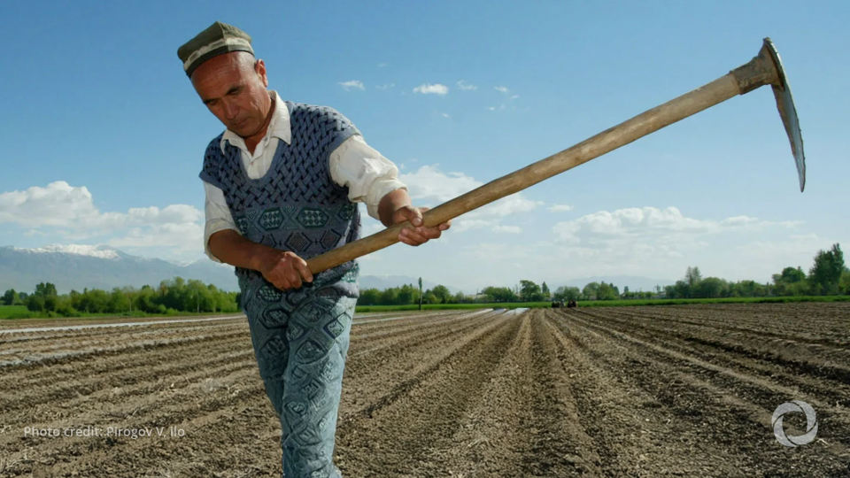 Climate change worsens social protection gaps in Europe and Central Asia