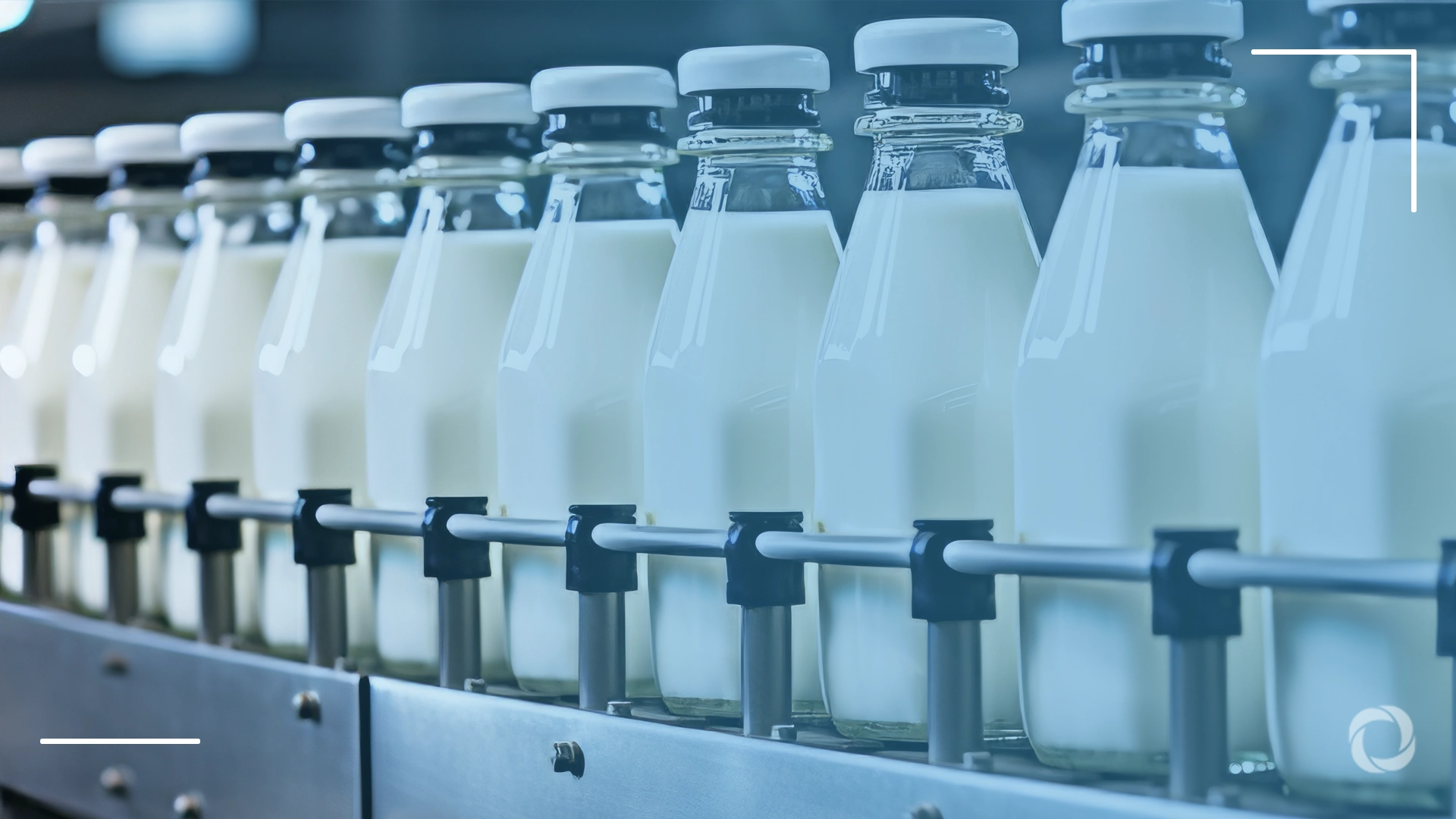 Top 10 countries by milk production