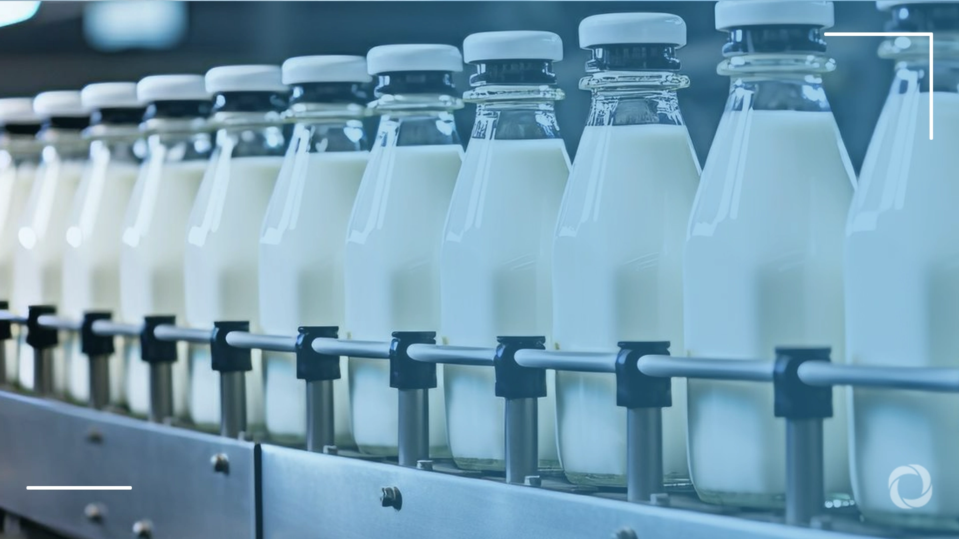 Top 10 countries by milk production
