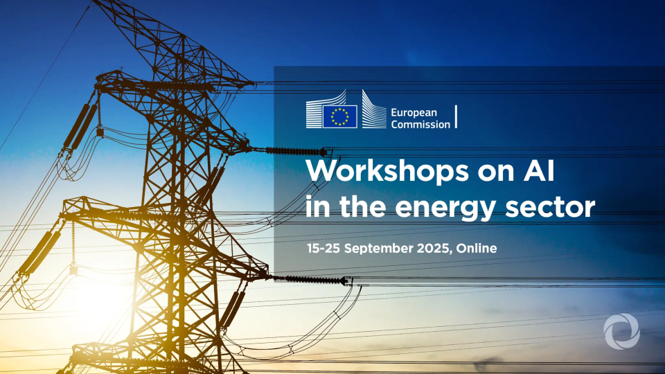 Workshop on AI in the energy sector