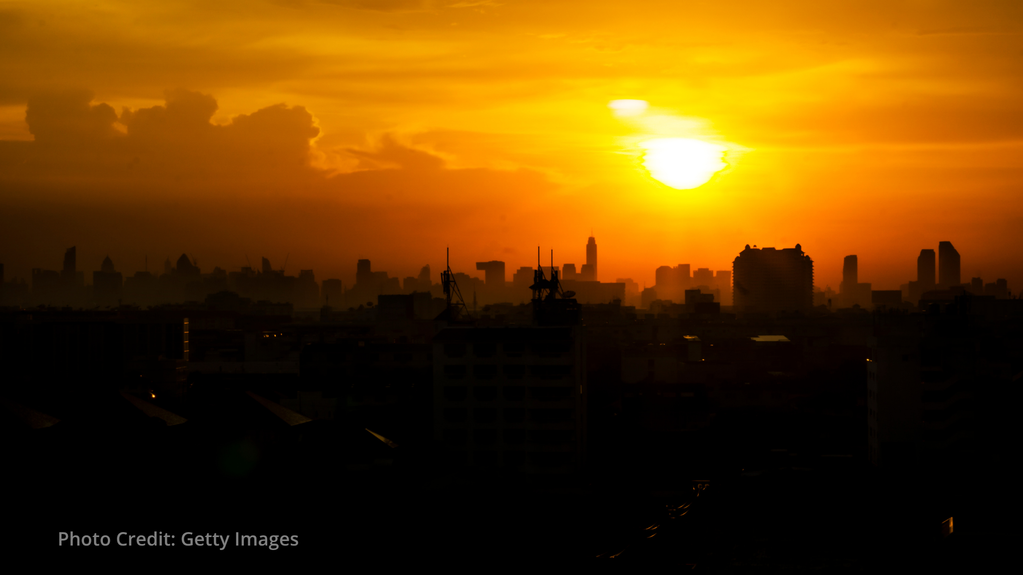 Carbon dioxide levels surge by record amount in 2024