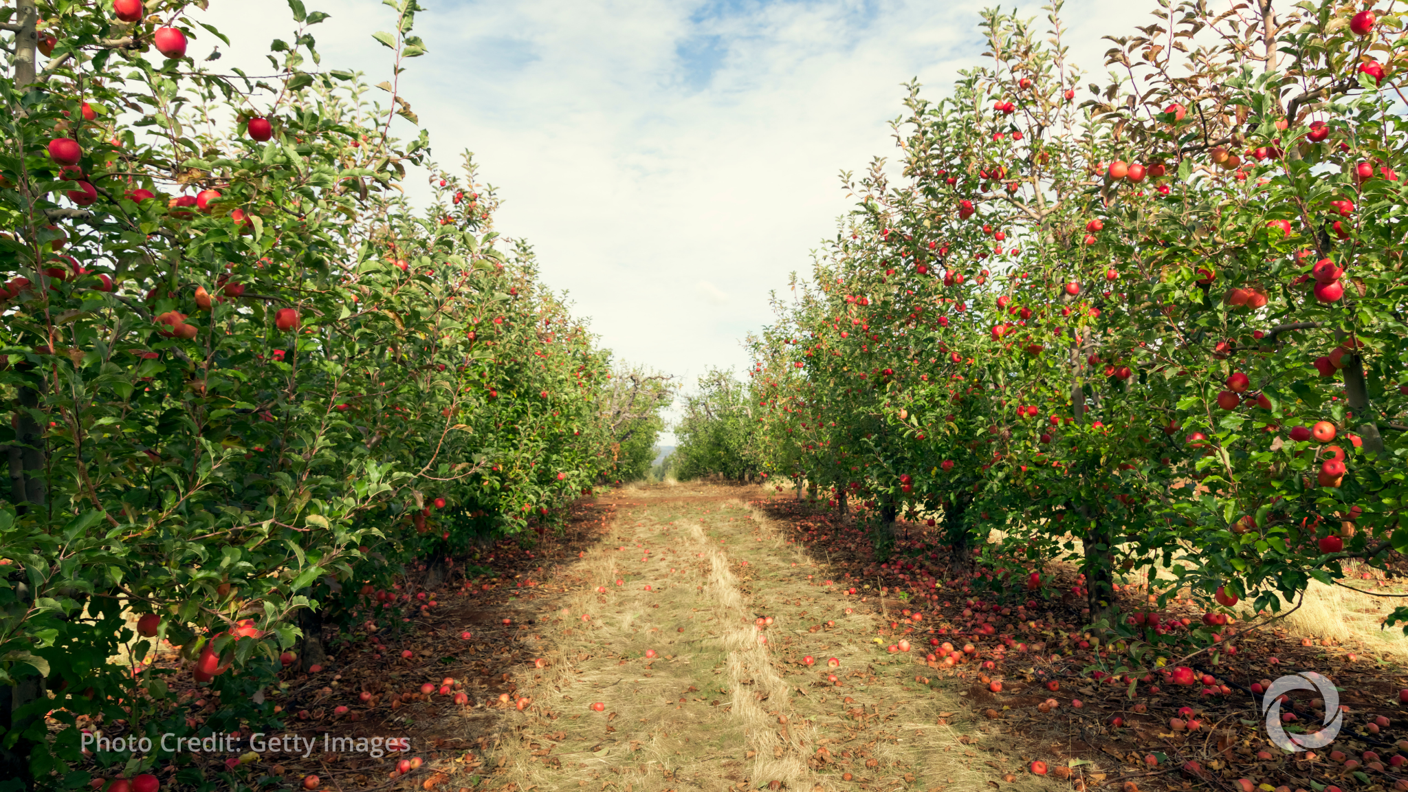 EU and EBRD financing boosts Moldova's fruit exports EU and EBRD financing boosts Moldova's fruit exports