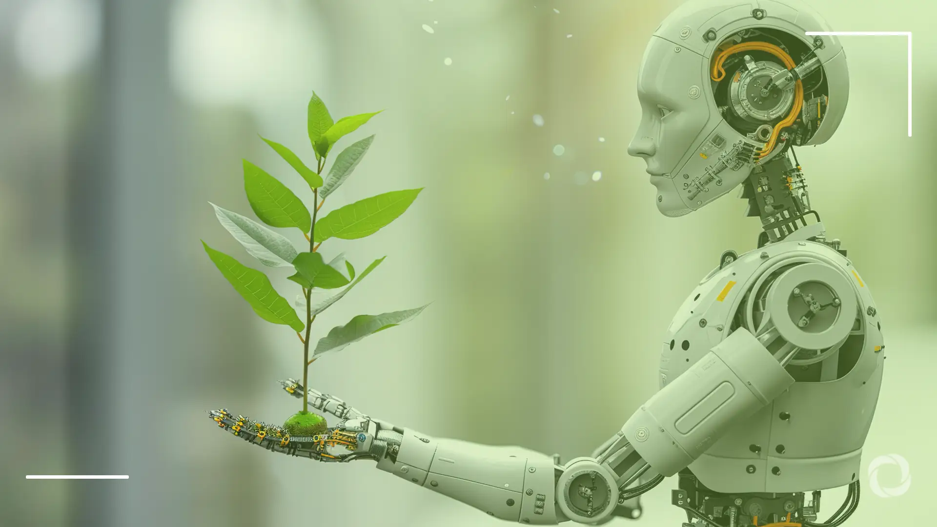 AI’s environmental impacts: Emerging regulations and policies