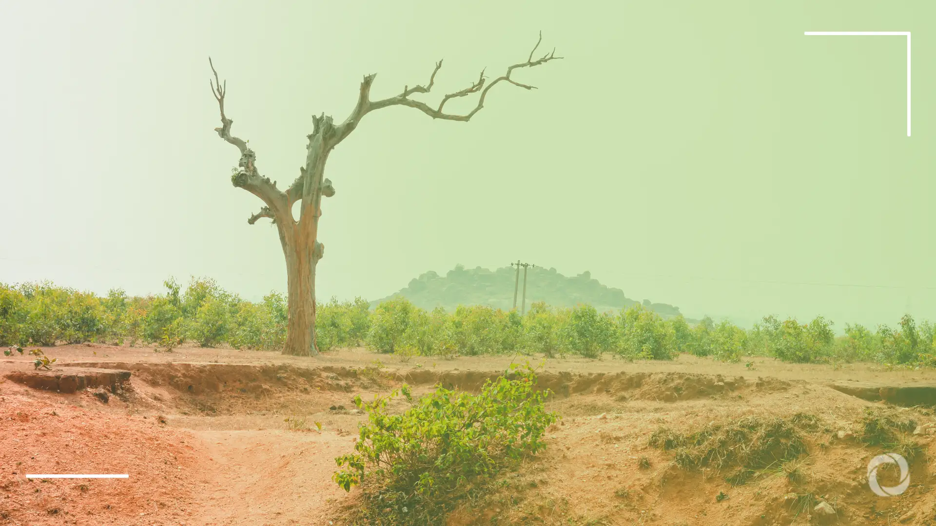 Africa’s climate paradox: low CO₂ emissions yet the highest global deforestation rate