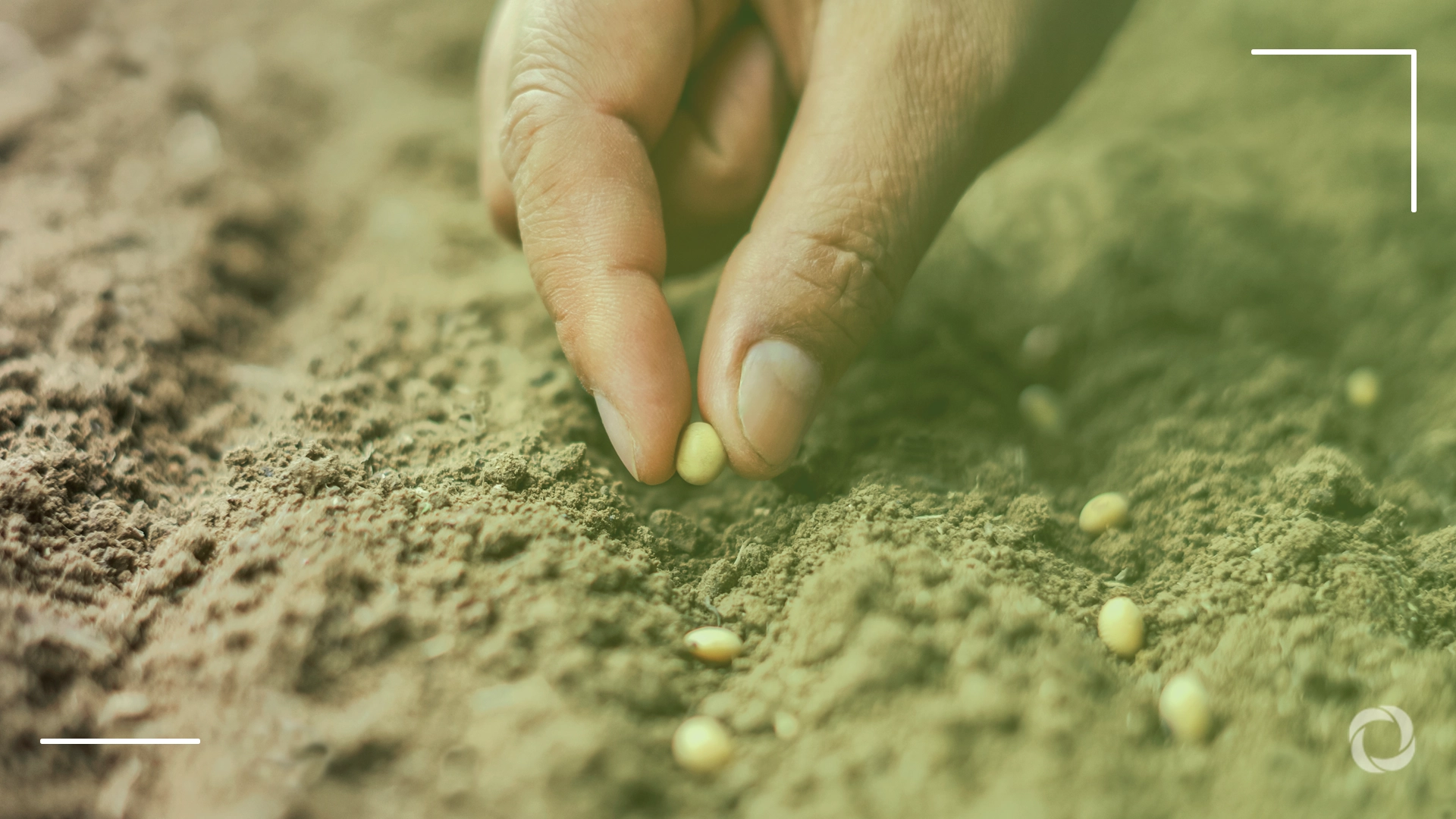 Seeds of control: Corporate monopolies, farmers’ seed sovereignty and global food security