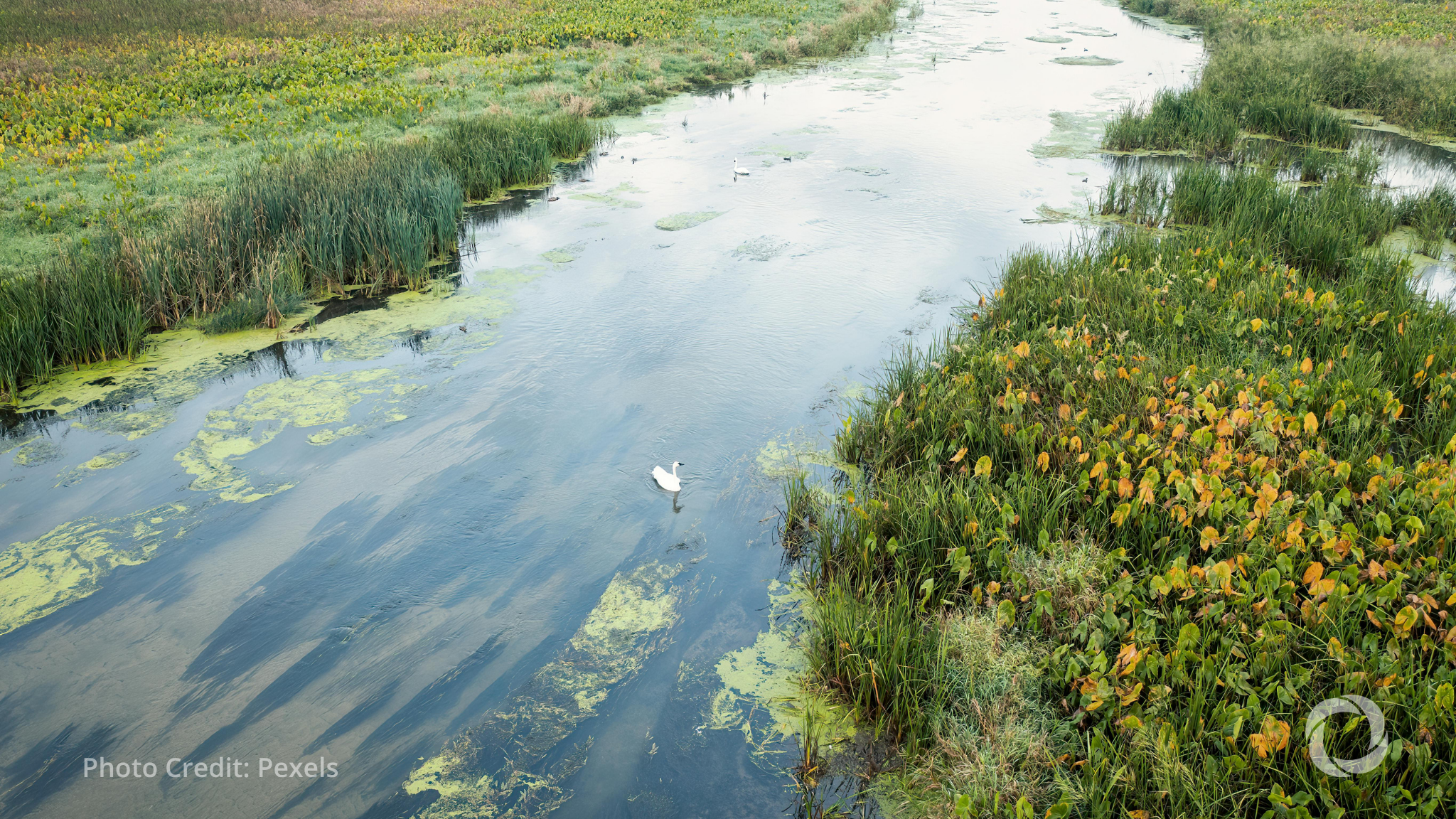 ADB launches $3 million project to conserve Philippine wetlands