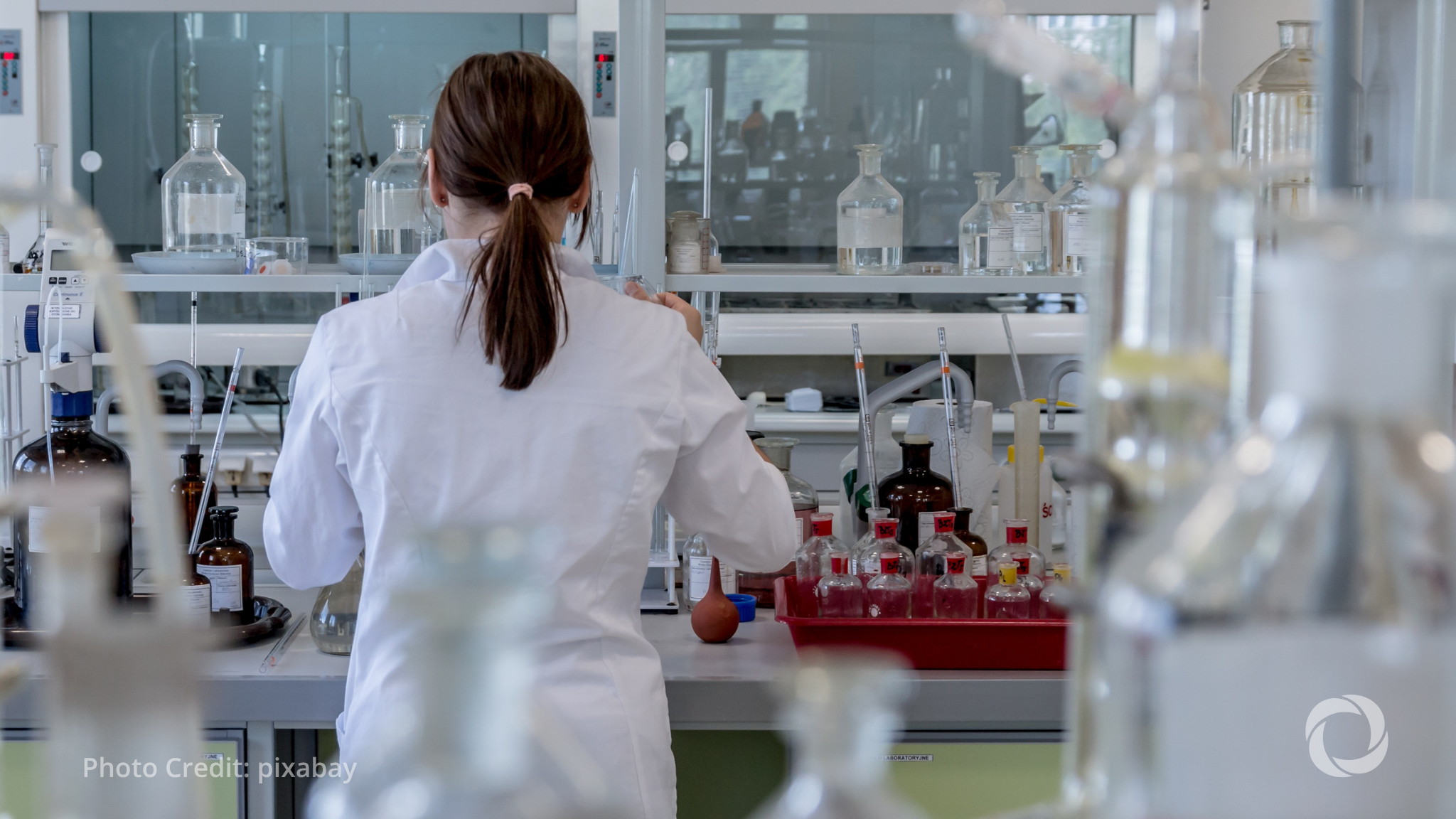 UK unveils roadmap to phase out animal testing with alternatives