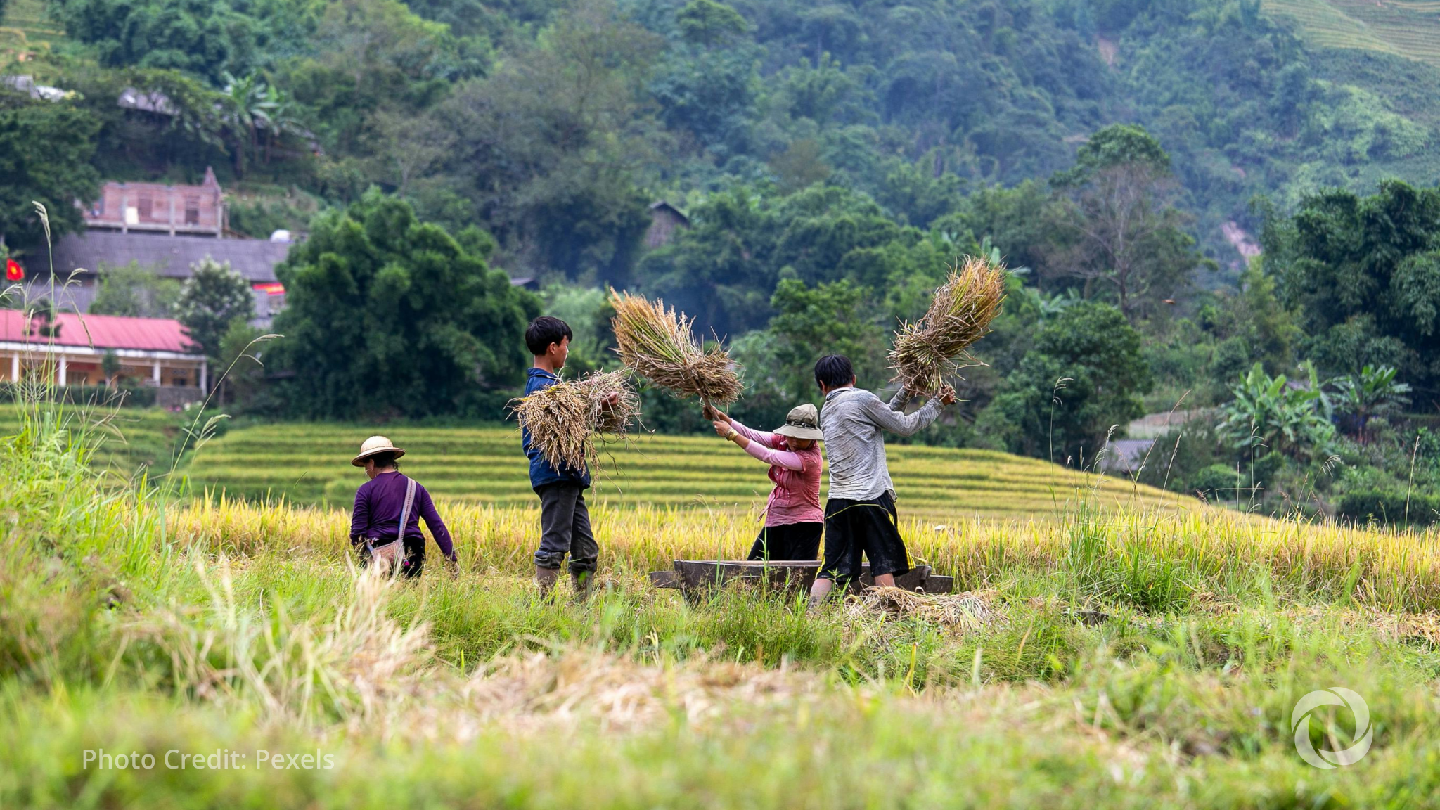 MDBs commit $137 billion in climate finance at COP30