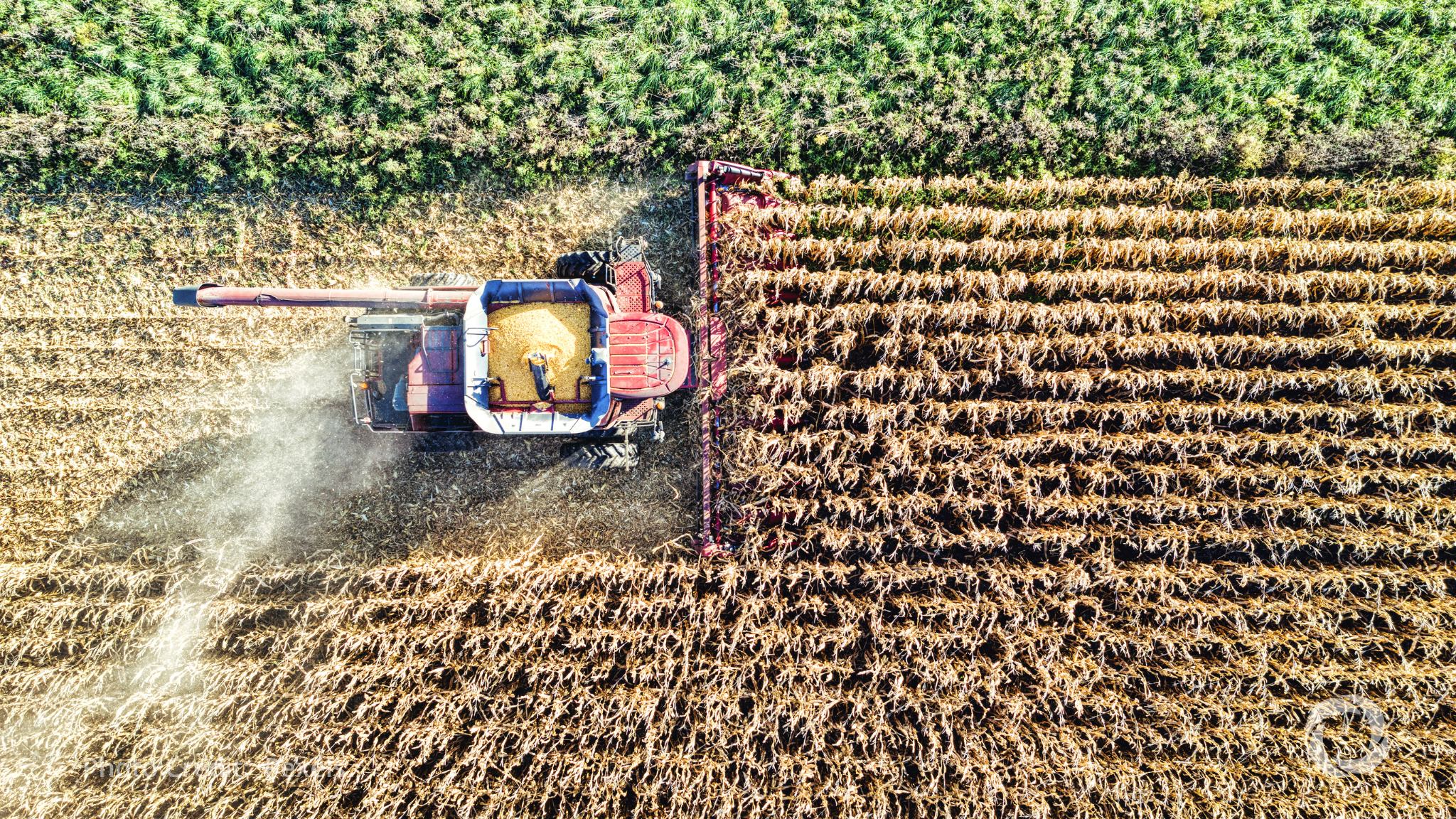 EIB Global and ZICB mobilize €30 million for Zambia's agriculture sector