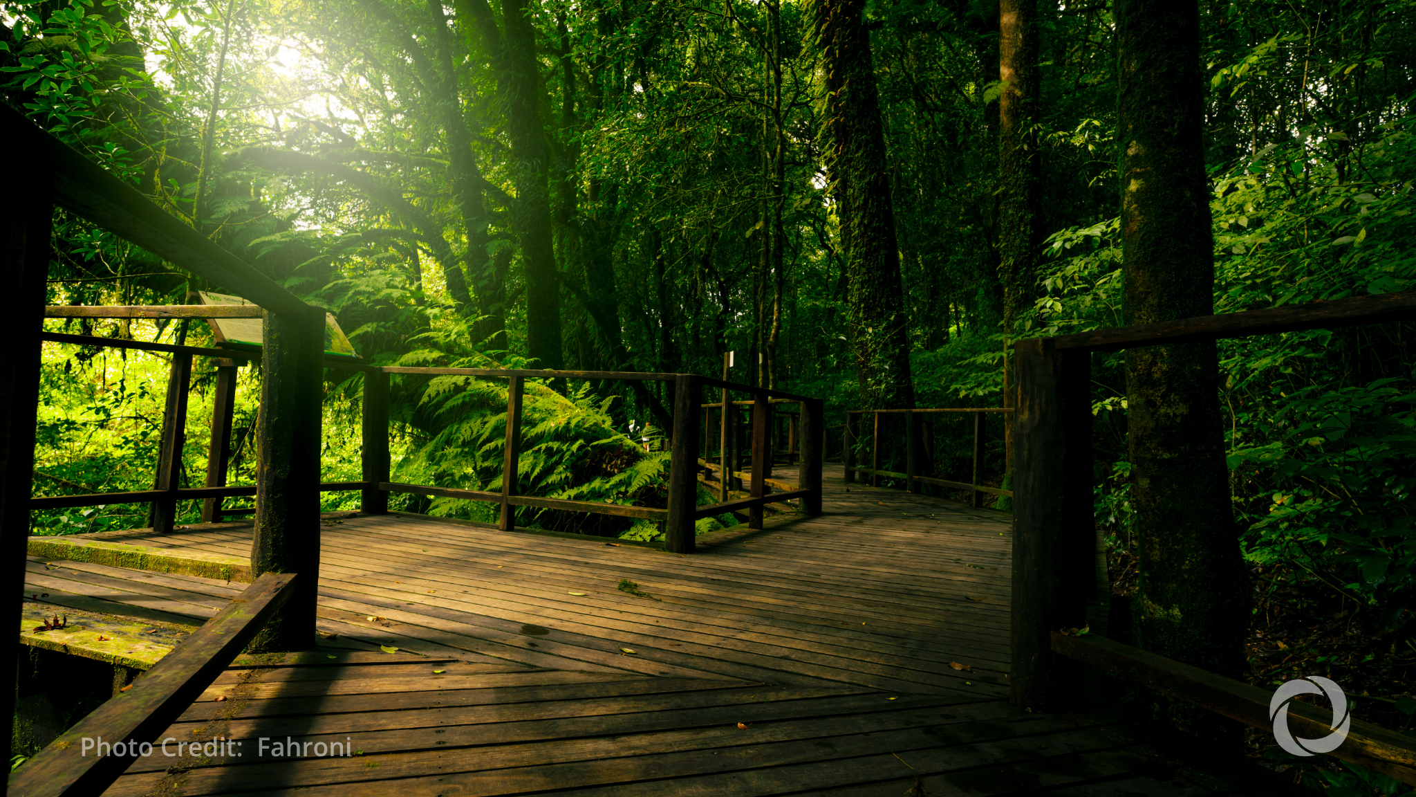 MDBs launch playbook to mobilize private capital for nature infrastructure