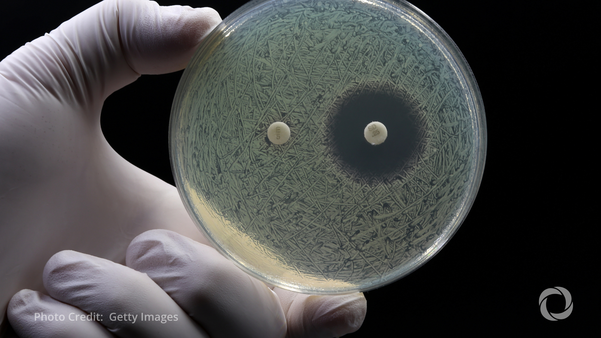 Action urged in global fight against drug resistance