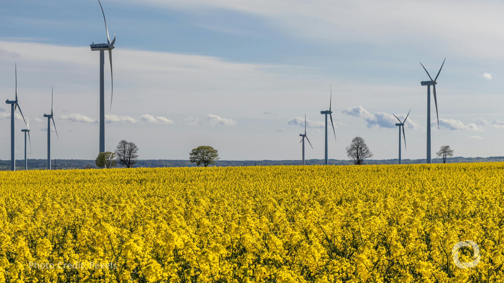 AIIB puts $40M into Türkiye renewable energy bonds