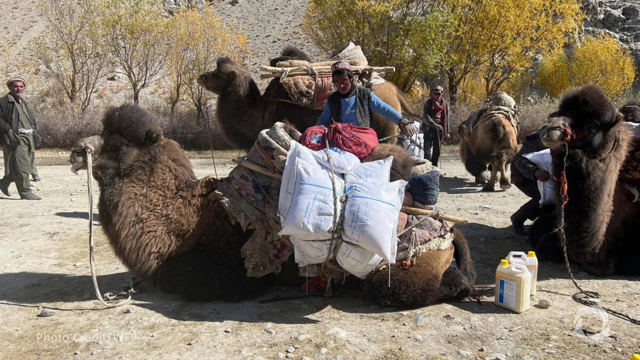 Afghanistan hunger crisis deepens as 17 million face acute food insecurity Afghanistan hunger crisis deepens as 17 million face acute food insecurity