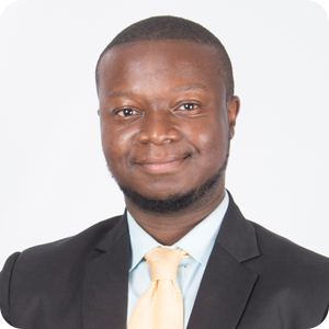 Sampa David Sampa, IT Assurance Consultant