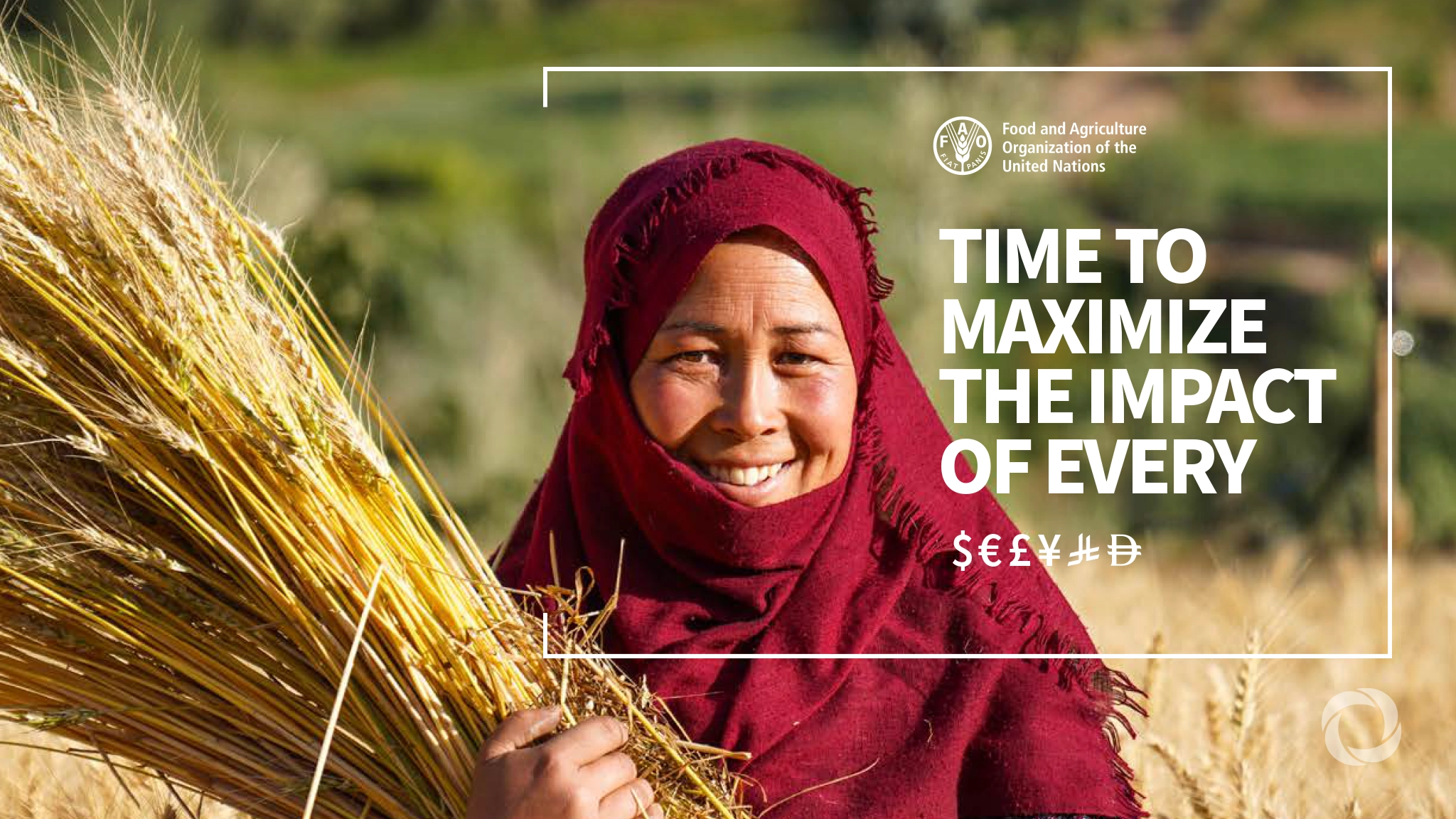 FAO seeks $2.5 billion to support 100 million people in 54 countries
