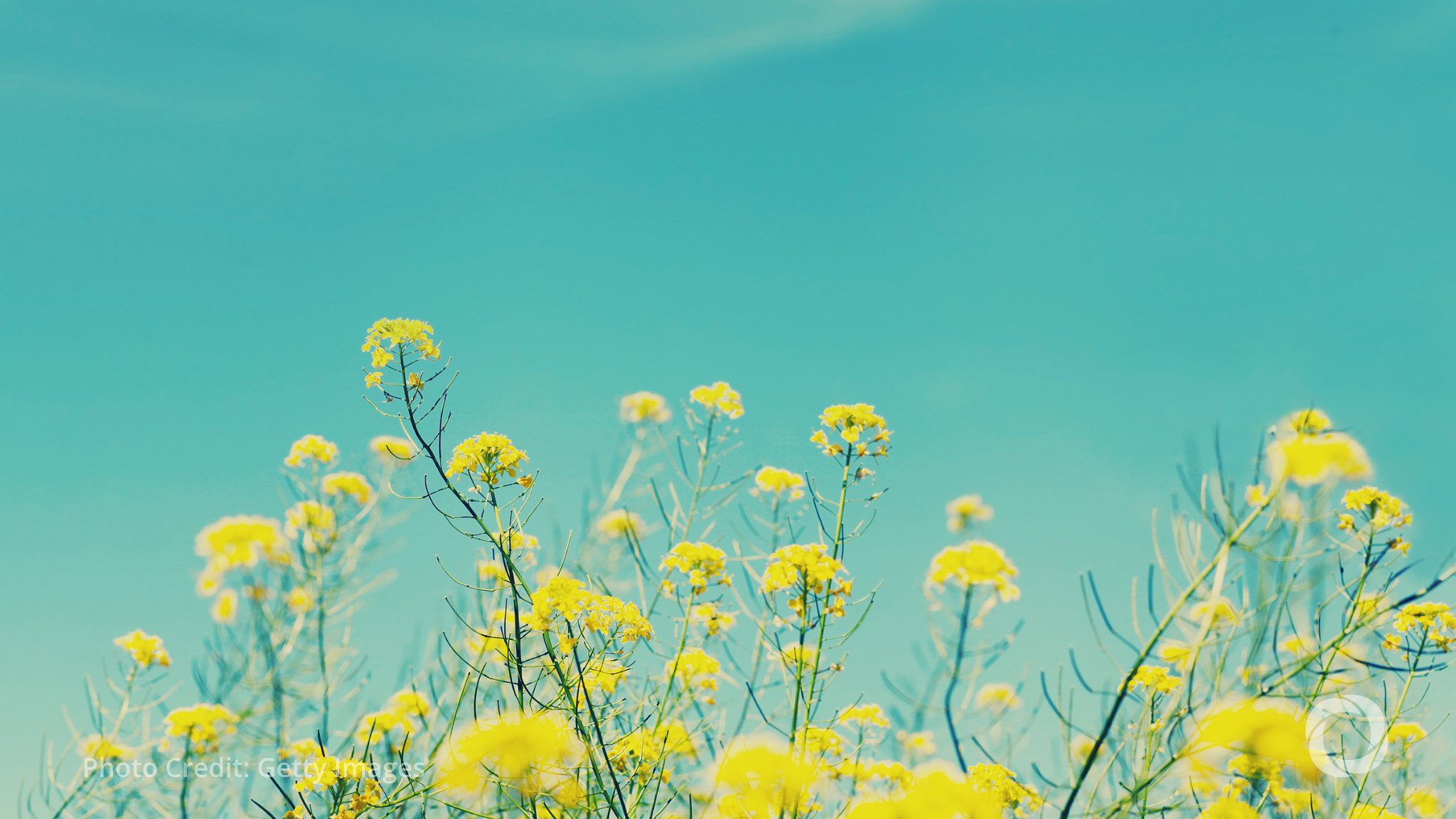 New report urges global financial shift toward nature-based solutions New report urges global financial shift toward nature-based solutions