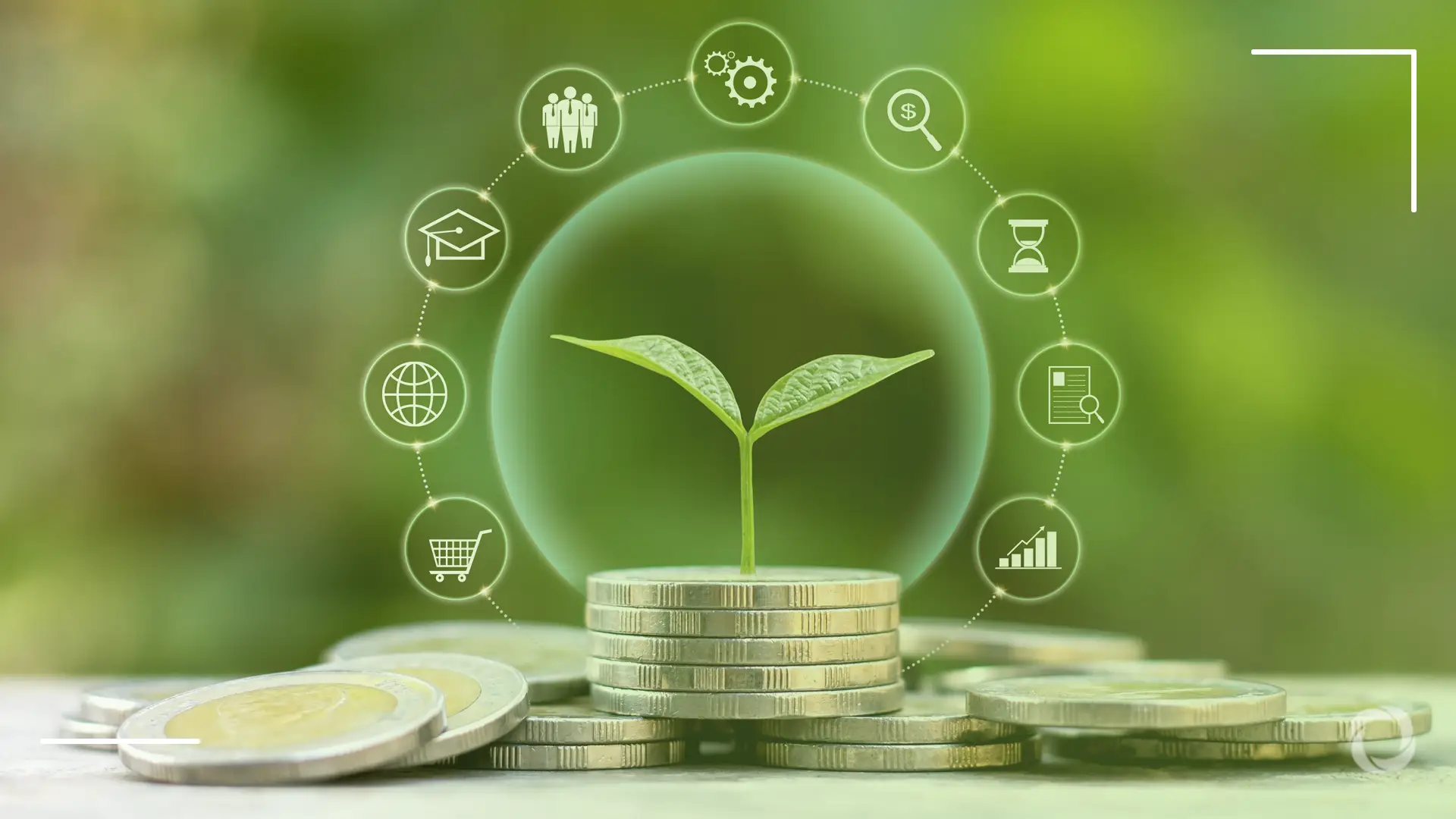 Where does climate money really go?