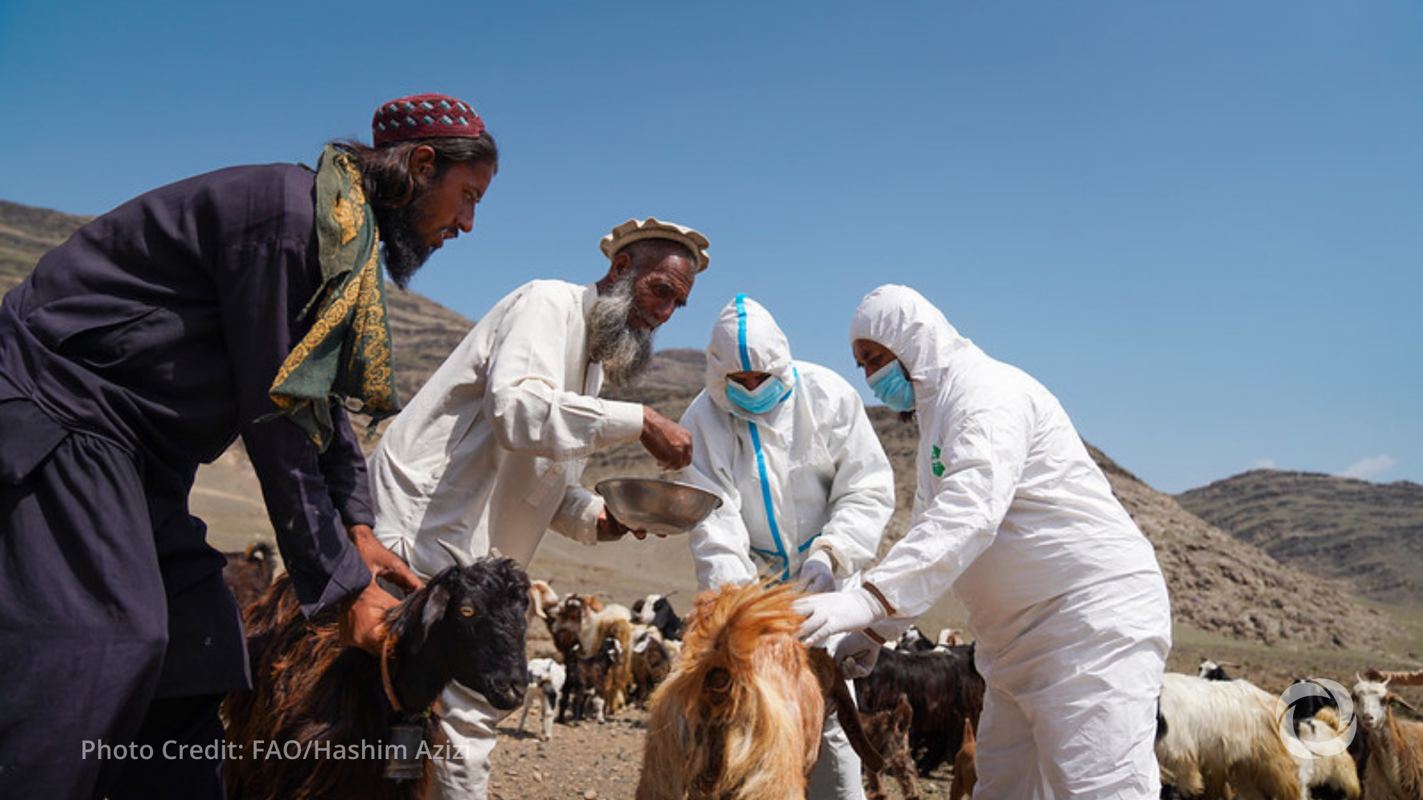 FAO and ADB launch $100 million Afghanistan food program