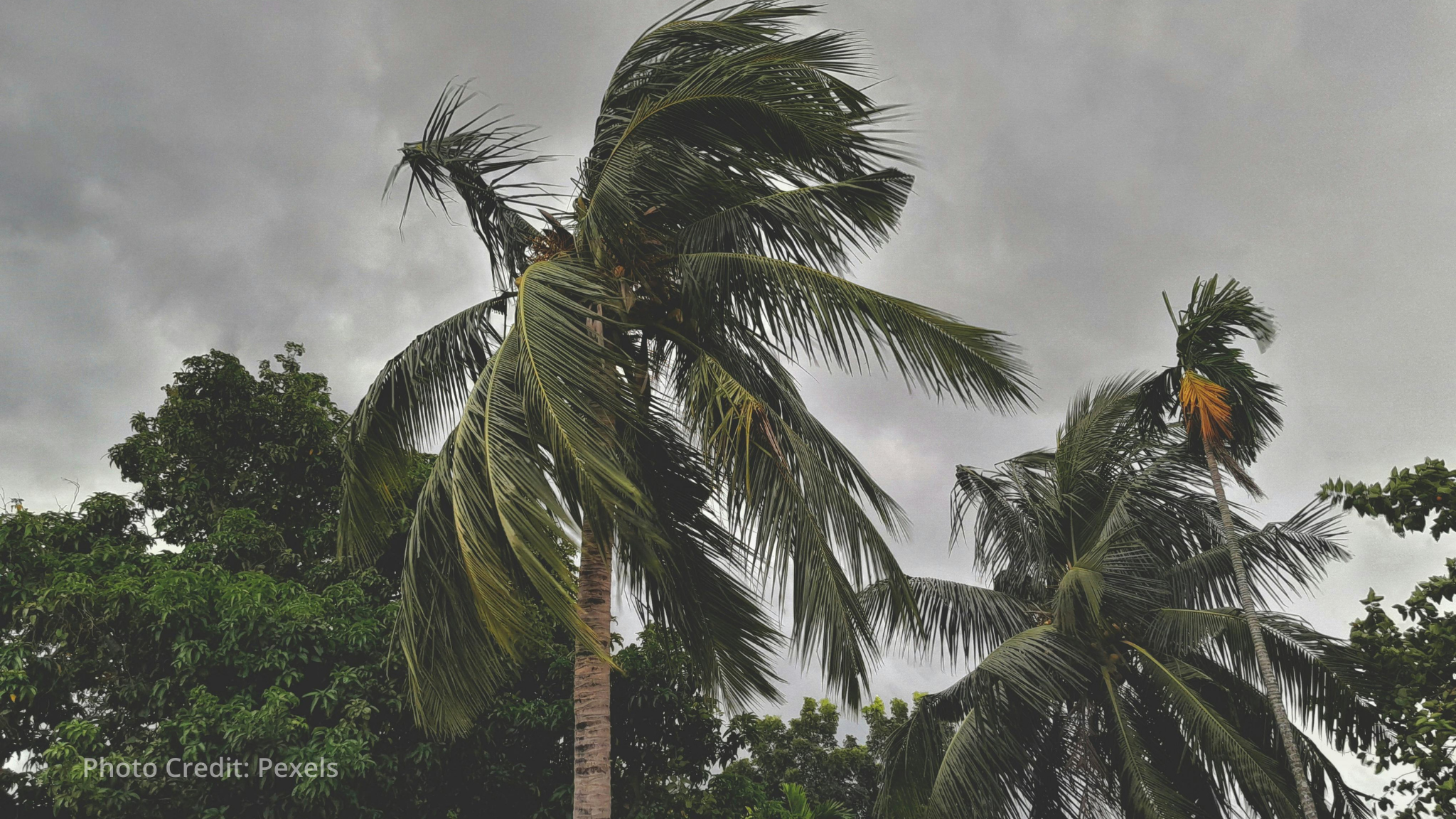 UN launches US$67.8 million flash appeal after twin cyclones batter Madagascar