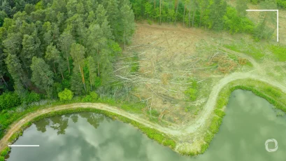 EU Deforestation Regulation an