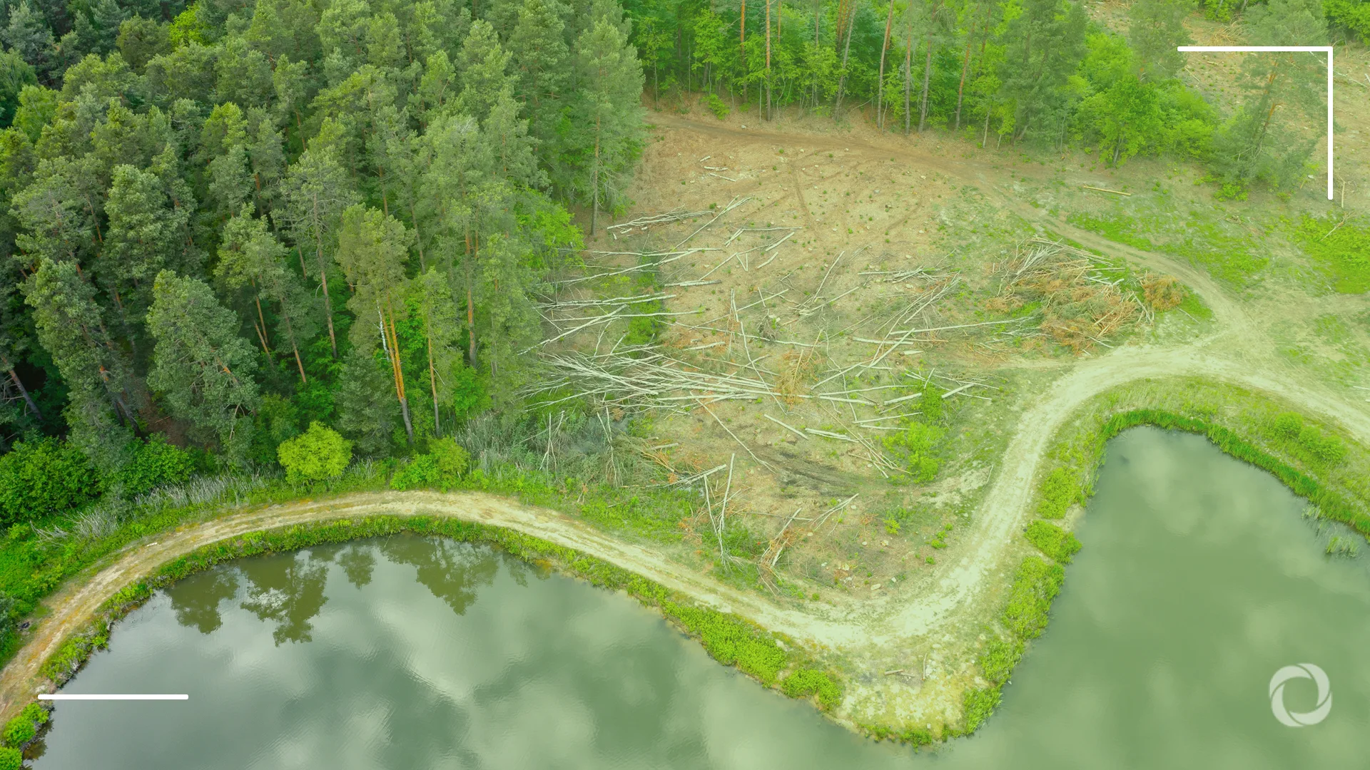 EU Deforestation Regulation and its external effects: Compliance and adaptation in producer countries EU Deforestation Regulation and its external effects: Compliance and adaptation in producer countries