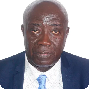 Alamine Simon Addih, Operations Expert