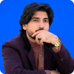 Shakib Naseri, Programme and project management