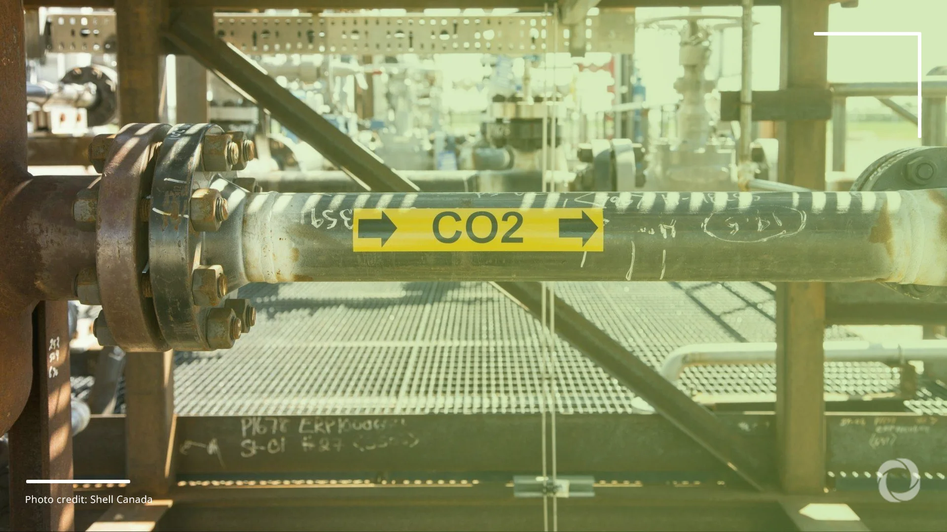 The climate gamble: can carbon