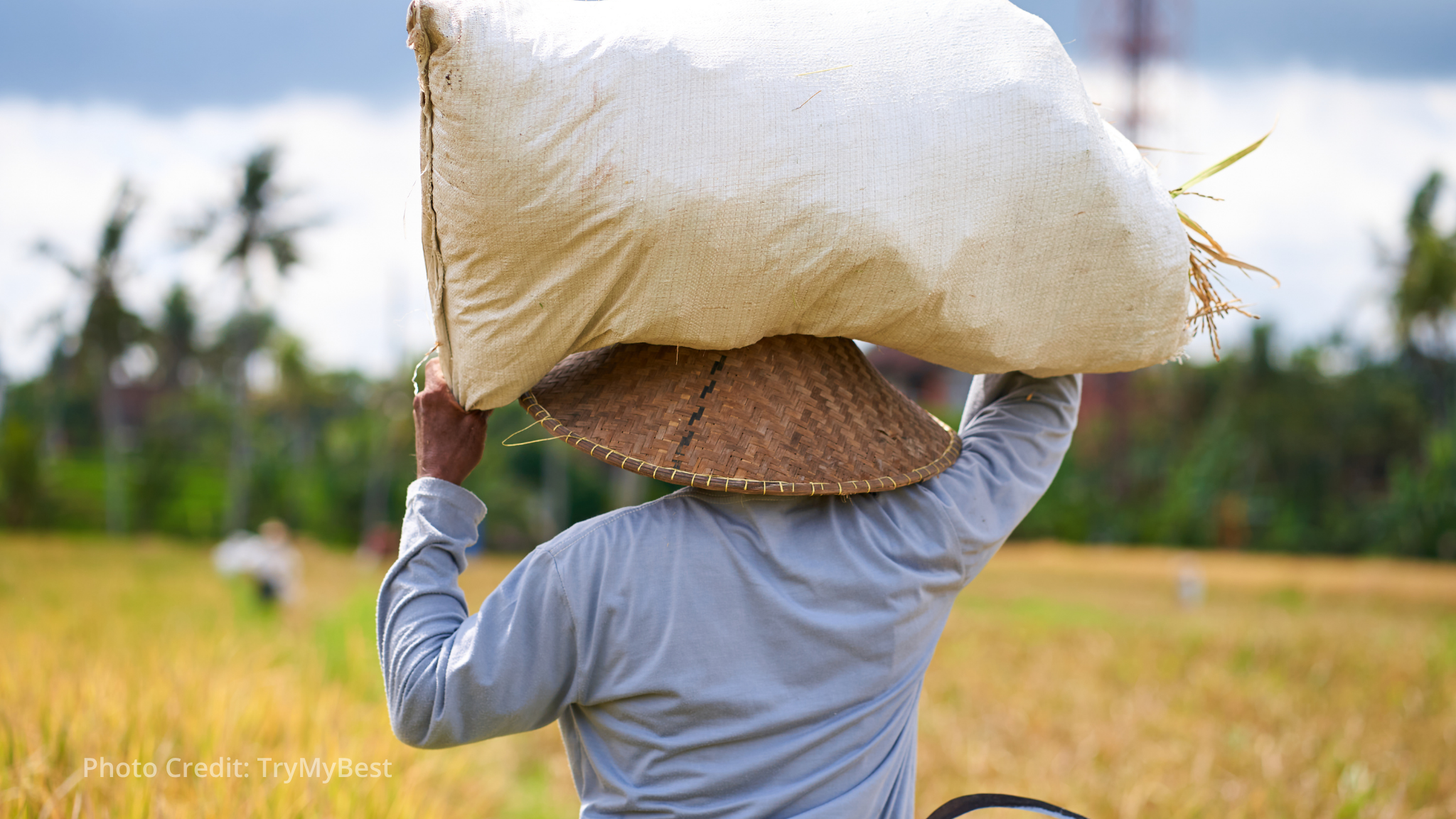 World Bank initiative to boost 5 million Filipino farmers World Bank initiative to boost 5 million Filipino farmers