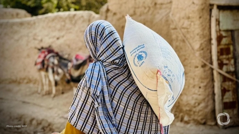 WFP food aid to reach 20,000 Afghan families WFP food aid to reach 20,000 Afghan families