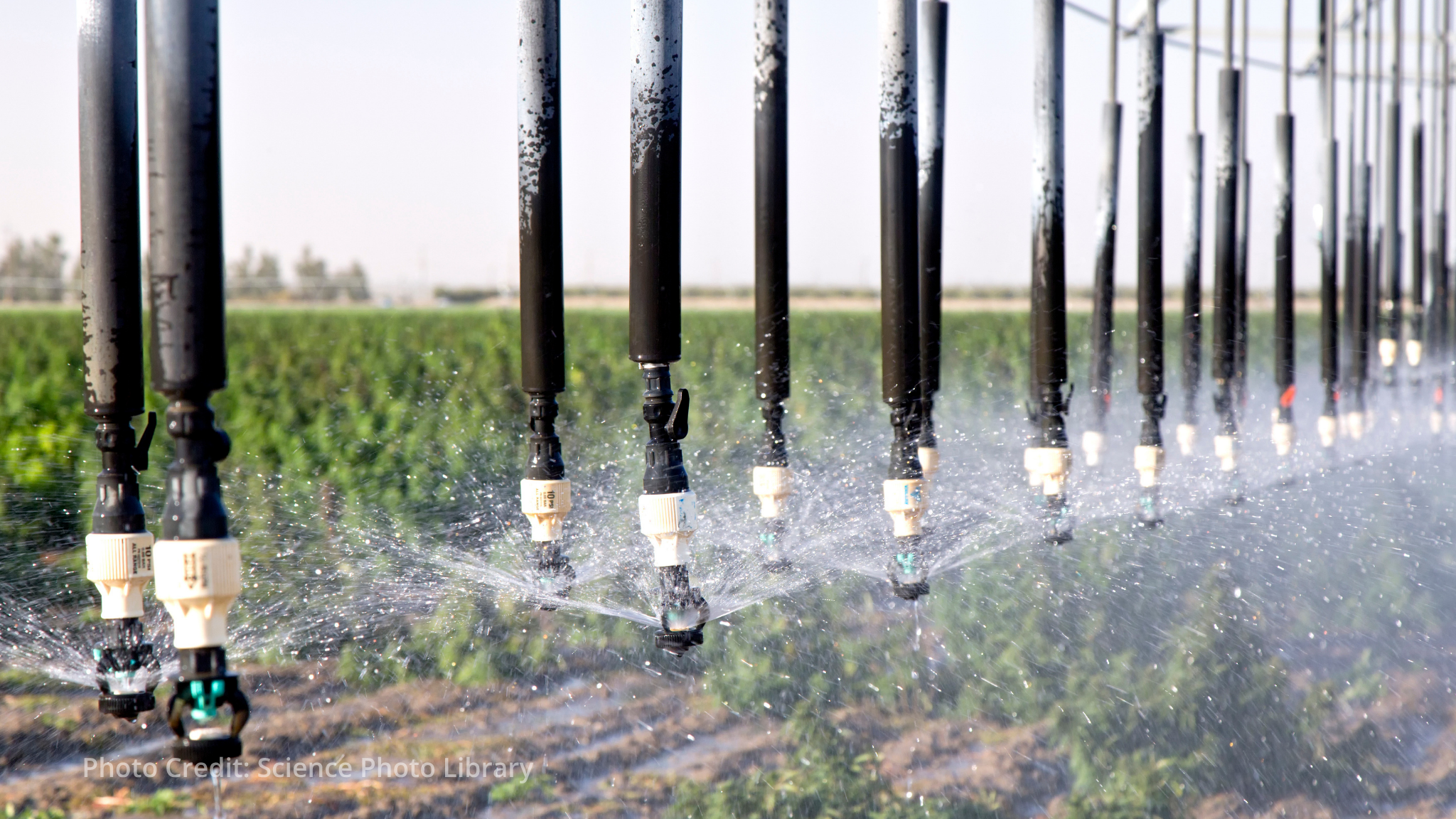 Conflict in the Near East region adds pressure on fragile agrifood systems, FAO Director-General warns