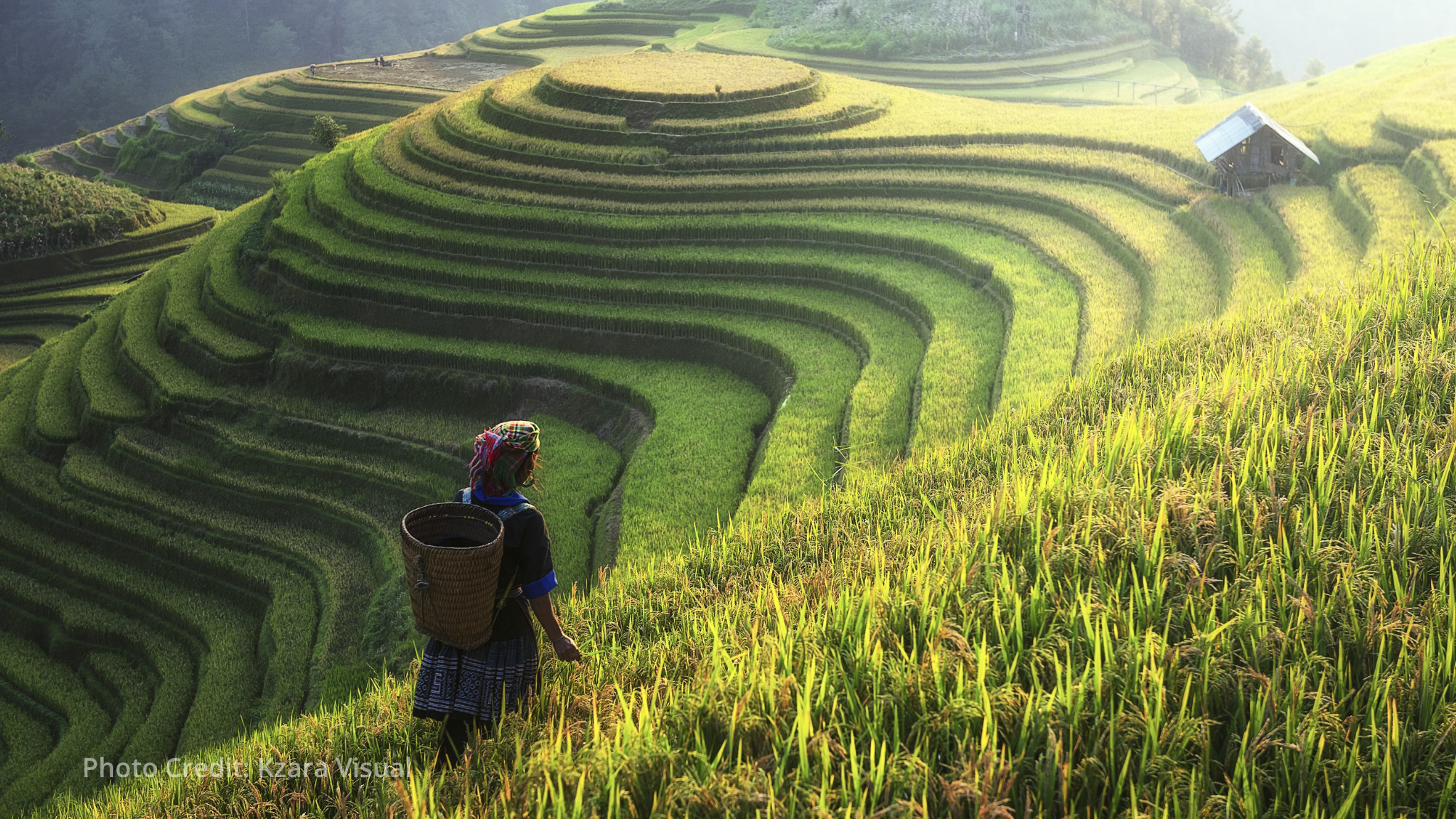 Signing of Loan Agreement for Rural Micro Small and Medium-sized Enterprise Support Program in Vietnam
