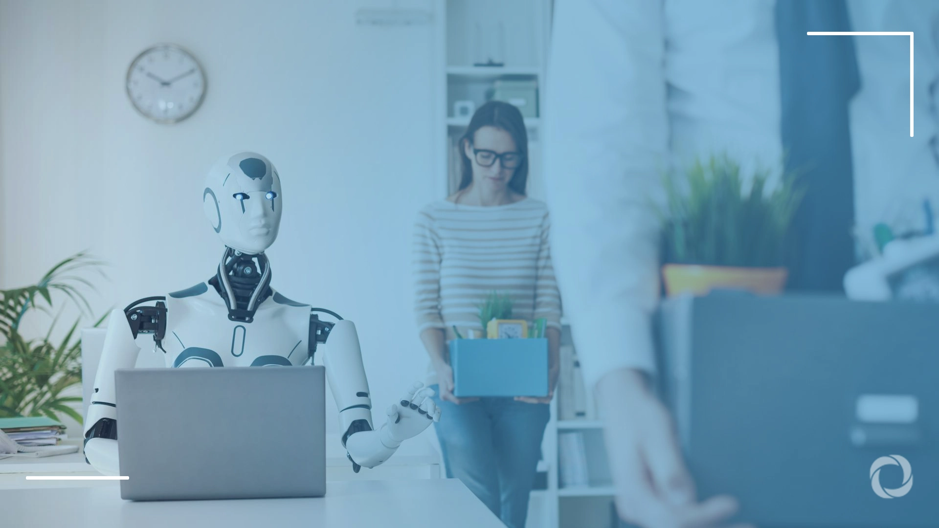 The broken rung: Is AI eradicating entry-level jobs?