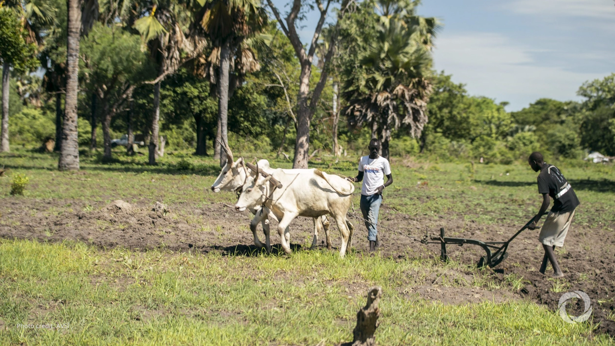 Sudan to receive $87 million from African Development Fund for food security Sudan to receive $87 million from African Development Fund for food security