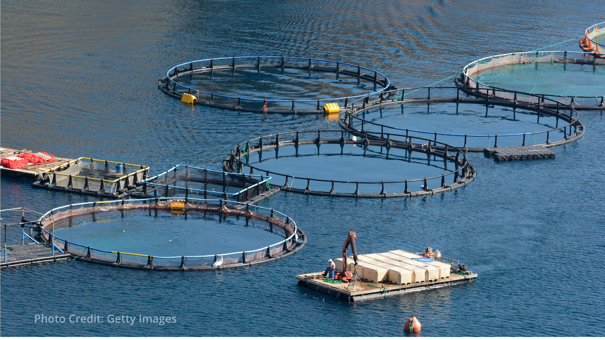 ILO adopts first code of practice on occupational safety and health in aquaculture