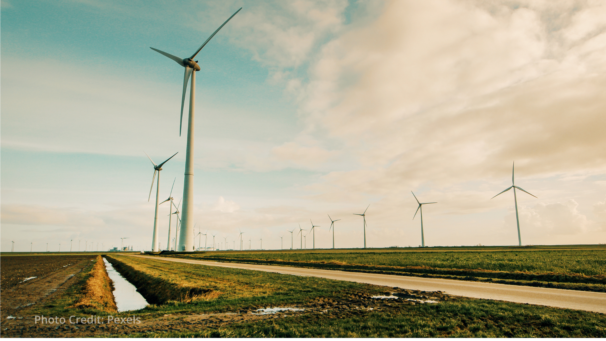 IEA podcast explores shifting ties between energy and artificial intelligence