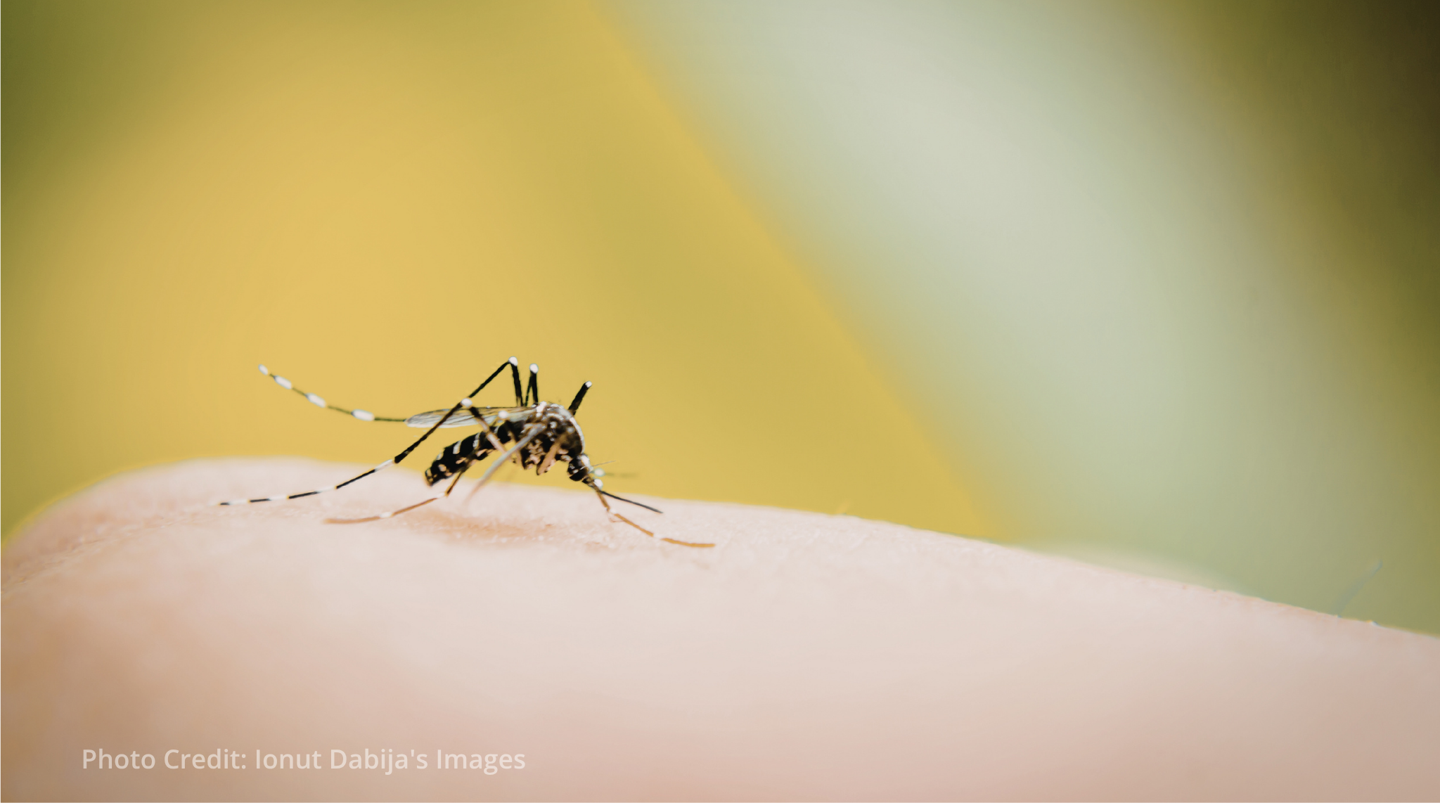 Malaria vaccine confirmed to save child lives in Africa, WHO reports