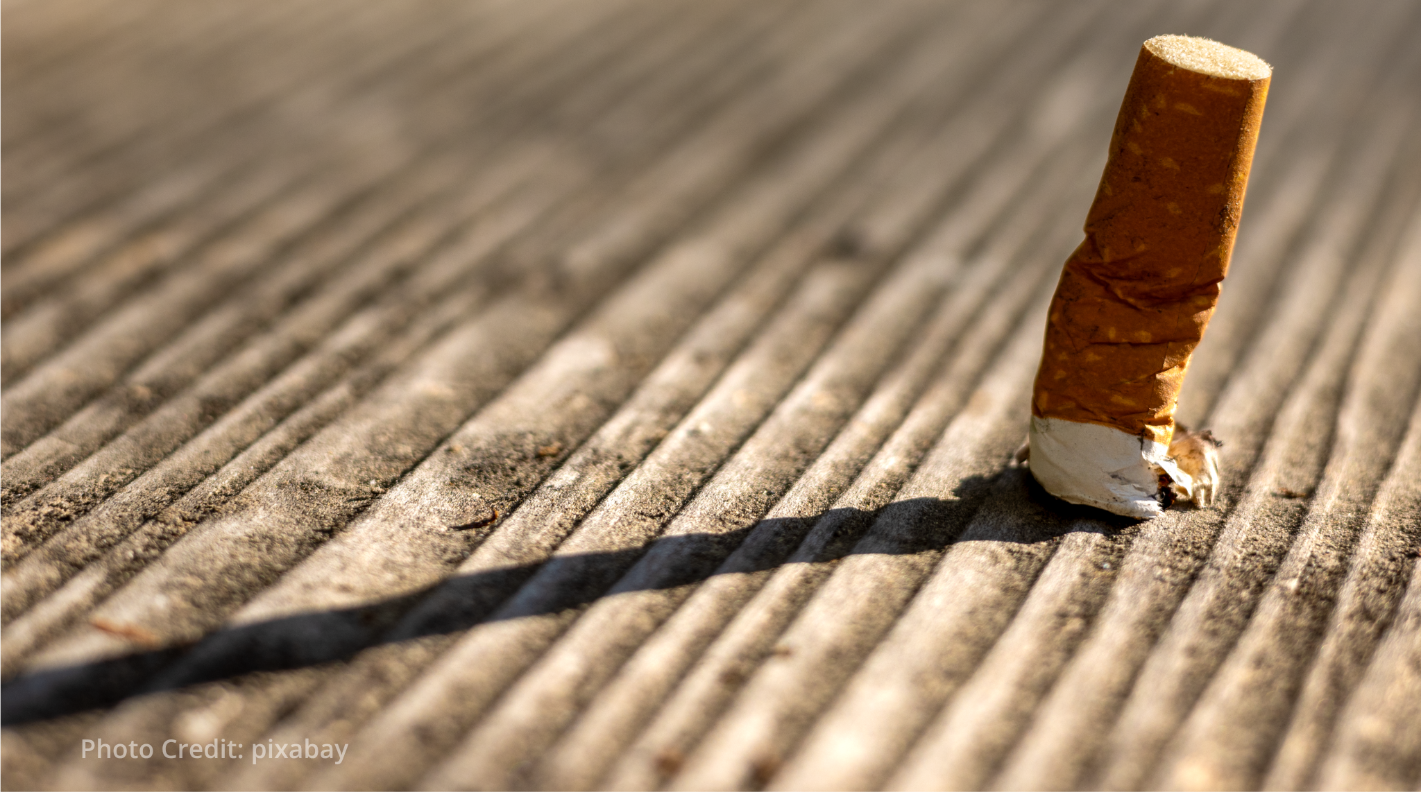 WHO warns nicotine pouch brands targeting youth as global sales climb