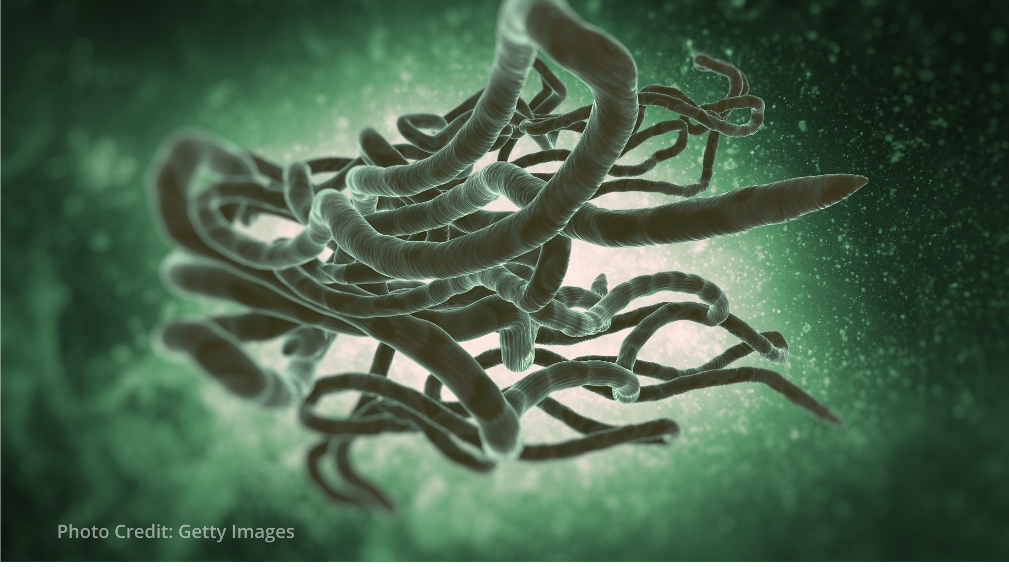 MSF scales up Ebola response in DR Congo amid Bundibugyo outbreak