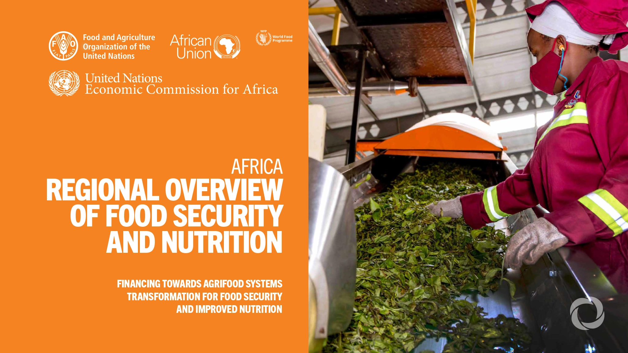 New report urges coordinated financing to reverse hunger in Africa