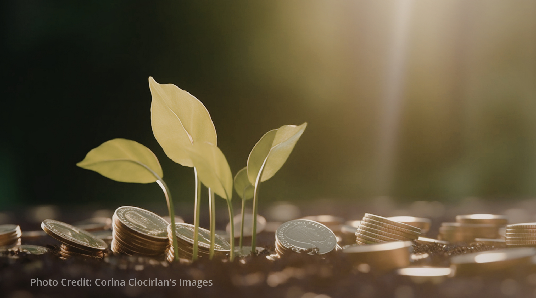 EBRD and EU expand funding for digital and green investments EBRD and EU expand funding for digital and green investments