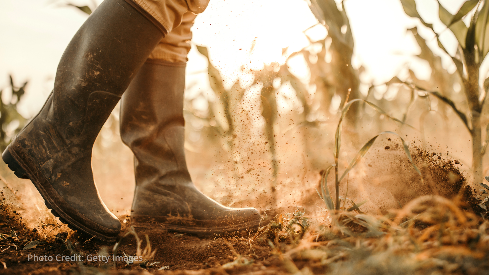Smallholder farmers urge direct climate finance access at SB64 in Bonn