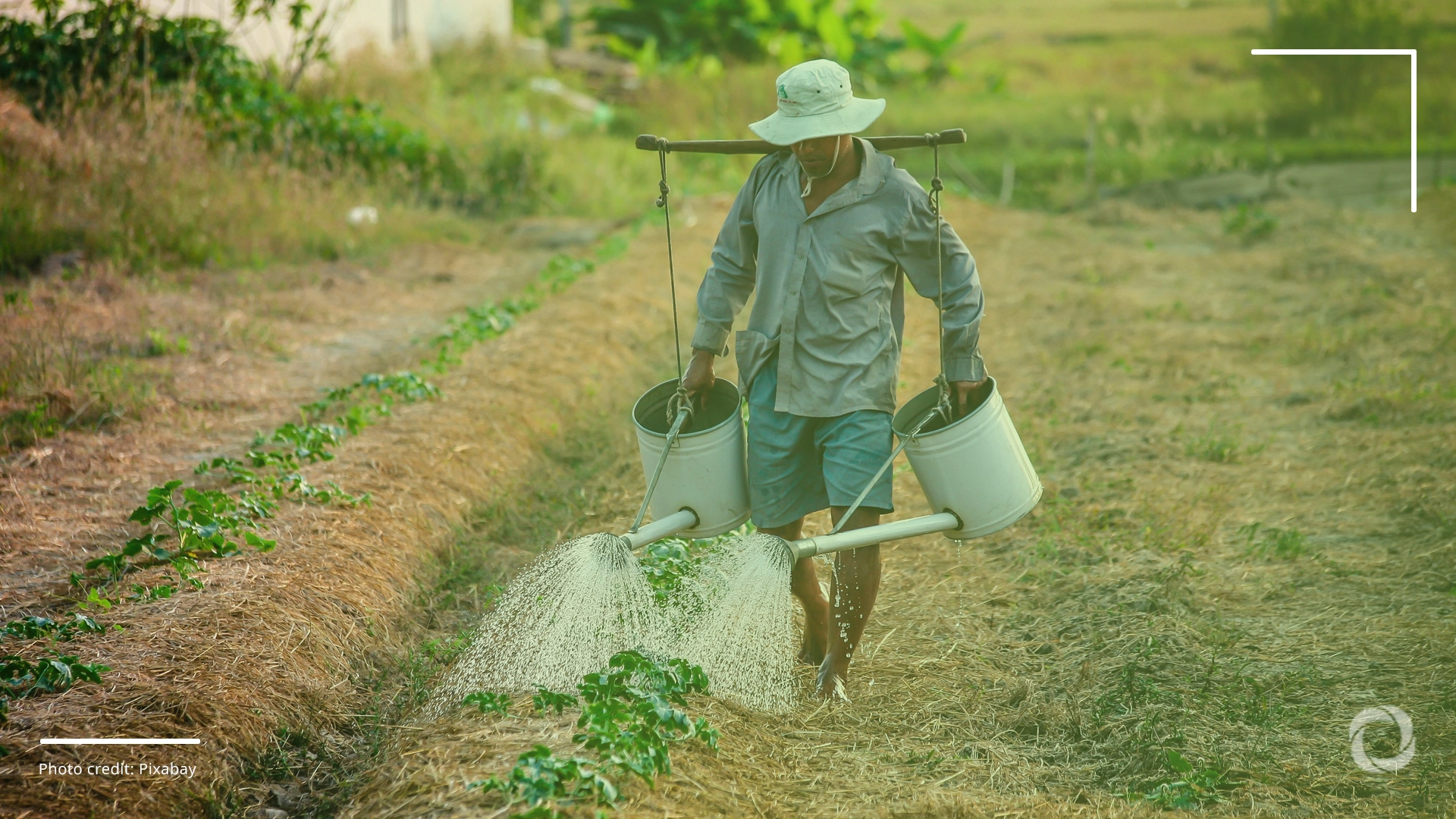 As aid levels drop, hunger ris